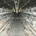 Poultry Feed Manufacturers H Type Layer Chicken Cage Farm Equipment for Chicken House